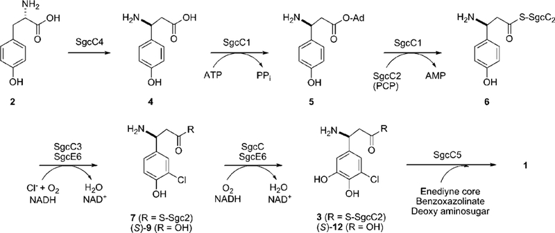 Figure 2.