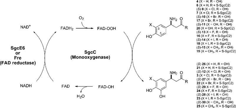 Figure 4.