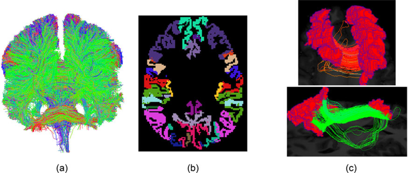 Figure 2.