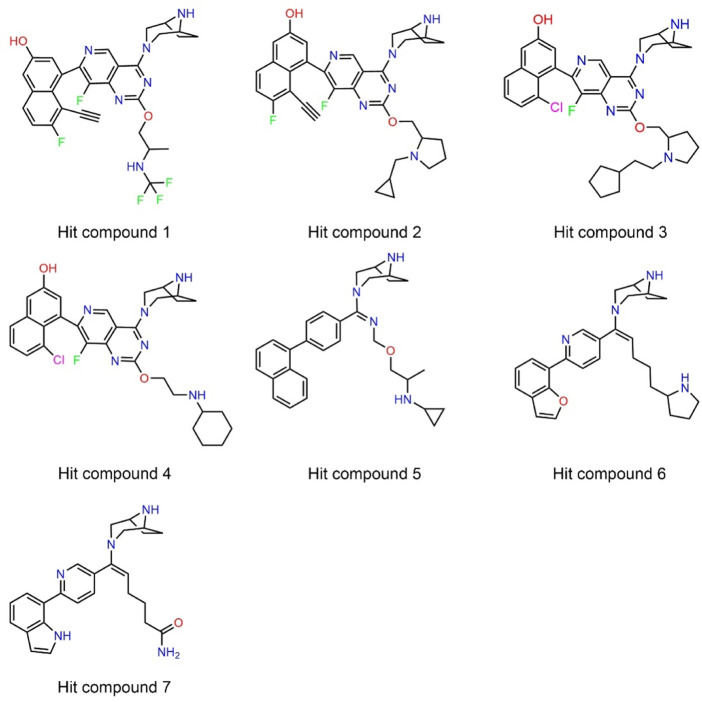 FIGURE 5