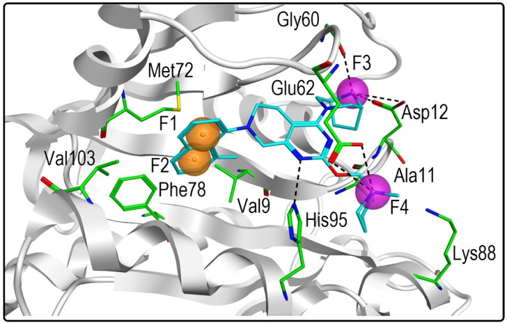 FIGURE 2