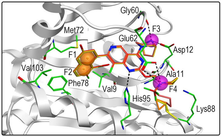 FIGURE 6