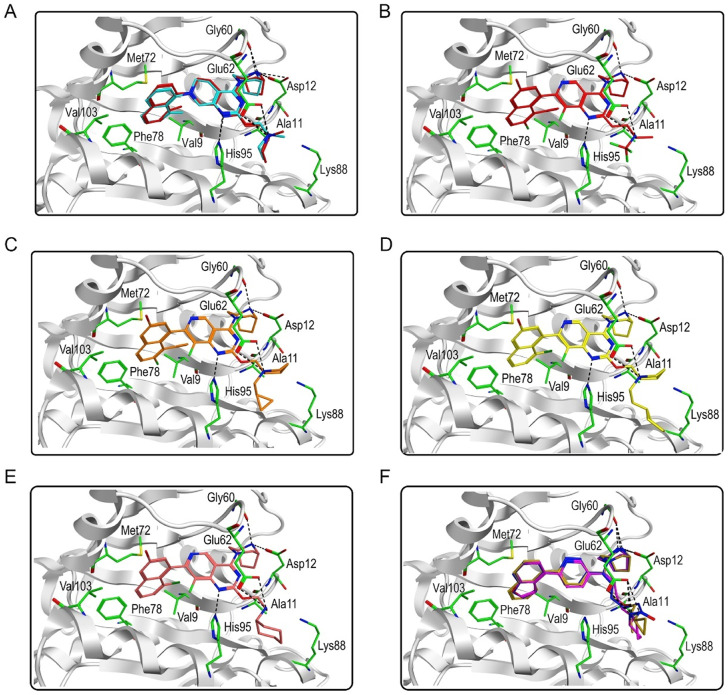 FIGURE 4