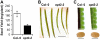 Figure 10.