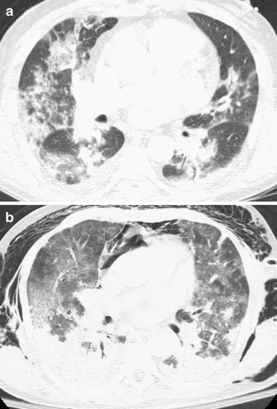 Fig. 8