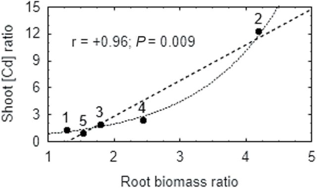 Fig. 9.