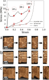 Fig 10