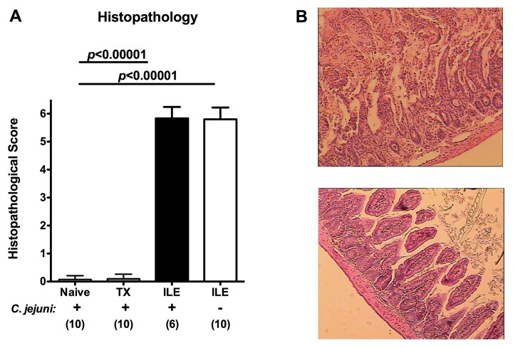 Fig. 3.