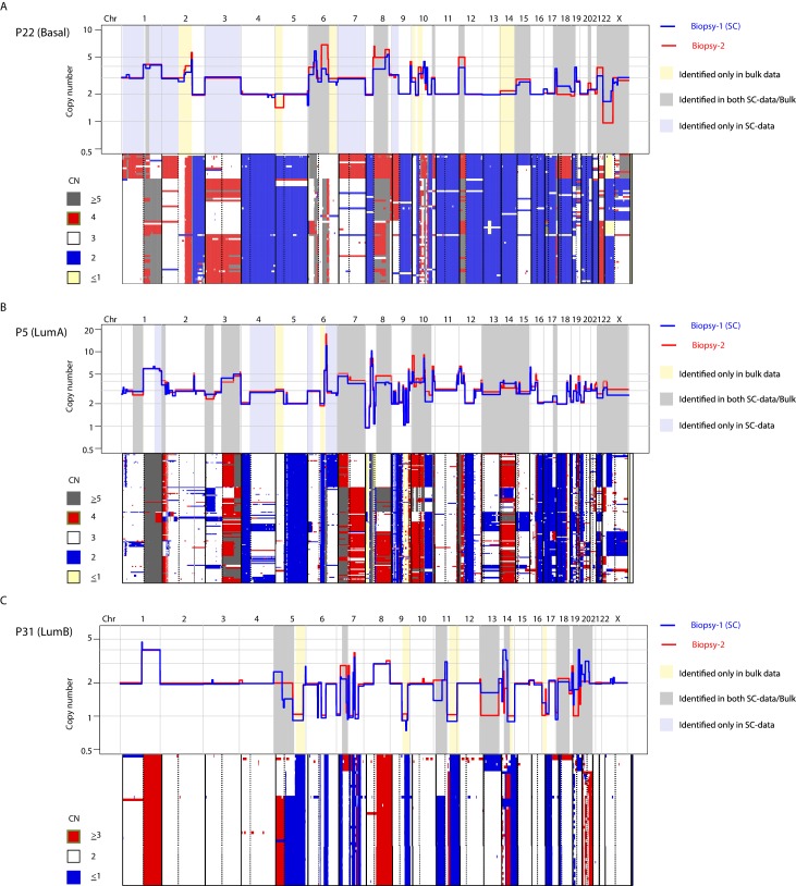 Figure 4—figure supplement 1.