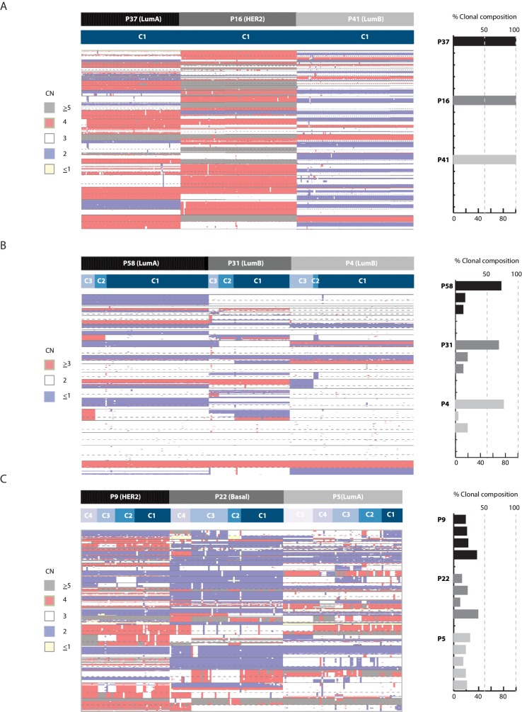 Figure 5—figure supplement 2.