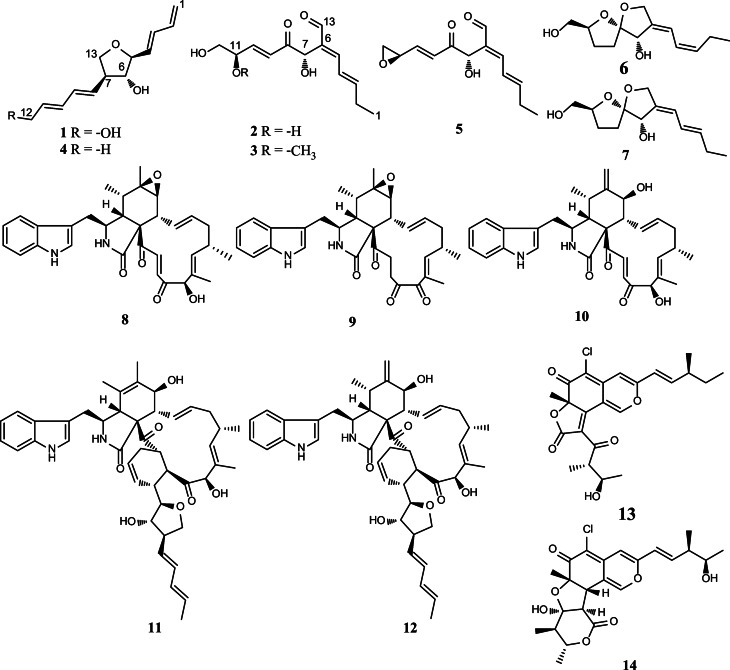 Fig. 1