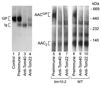 FIG. 5.