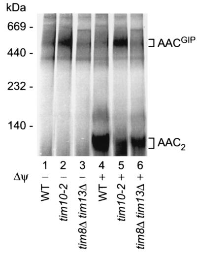 FIG. 7.