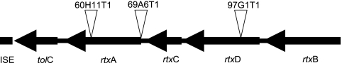 FIG. 5.