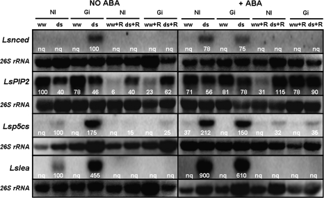 Fig. 9.