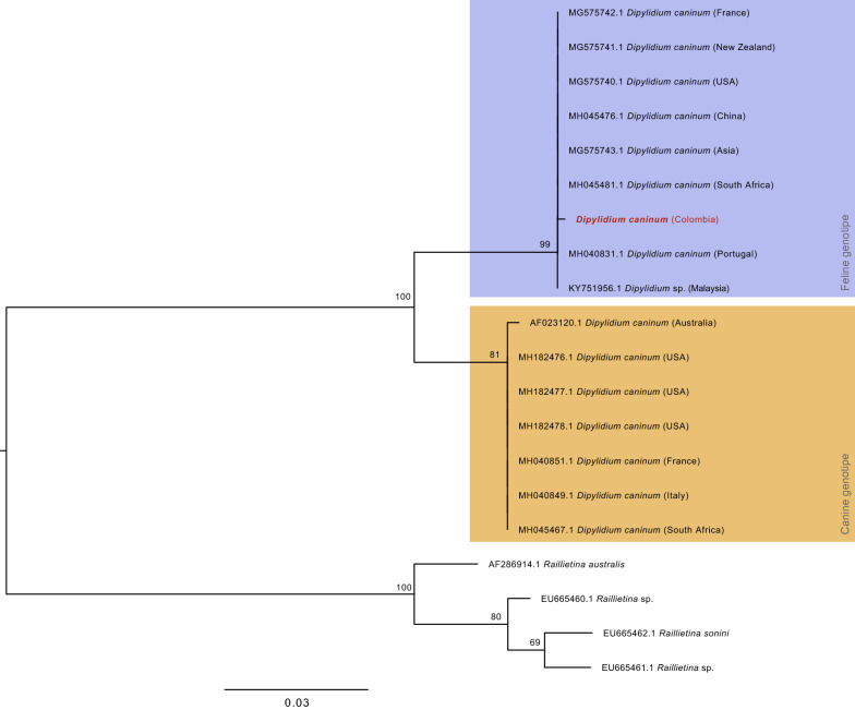 Fig. 2