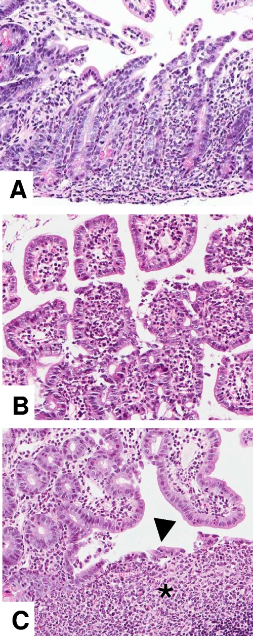 FIG. 5.