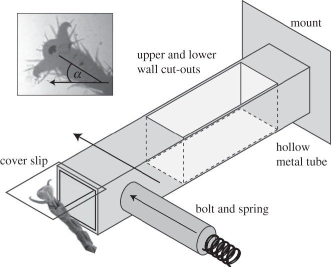 Figure 1.