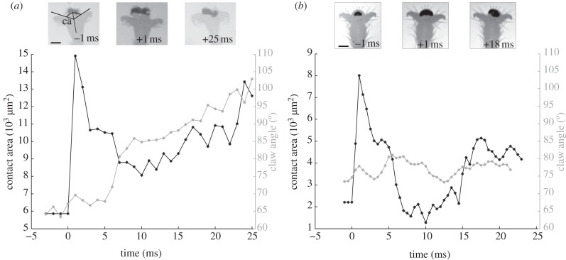 Figure 2.