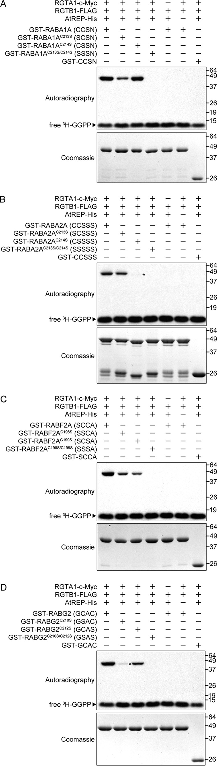 FIGURE 4.