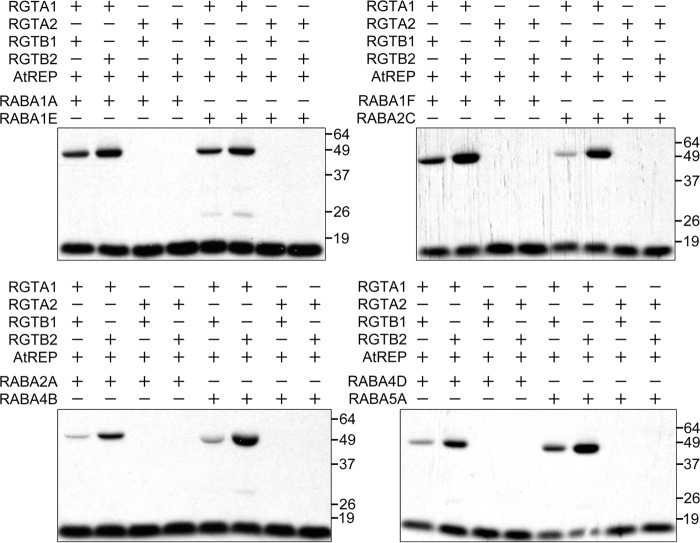 FIGURE 6.