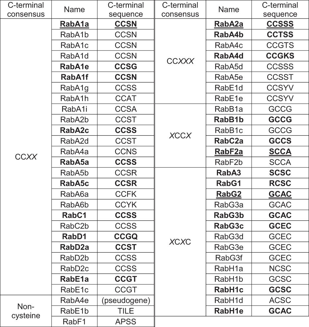 graphic file with name zbc006163518t001.jpg