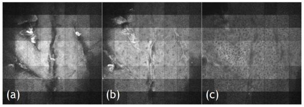 Fig. 8