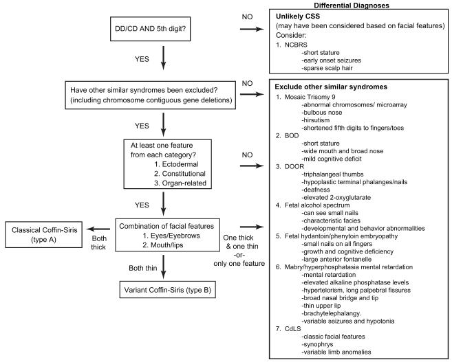 The Coffin-siris Syndrome: A Proposed Diagnostic Approach And 