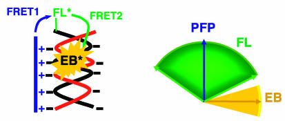 Scheme 2.