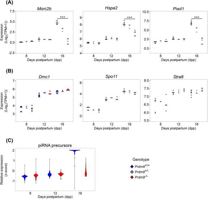 FIGURE 3: