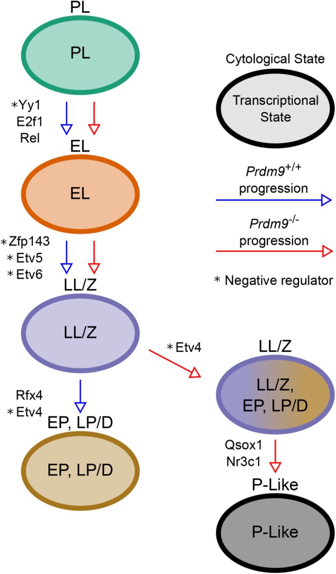 FIGURE 5: