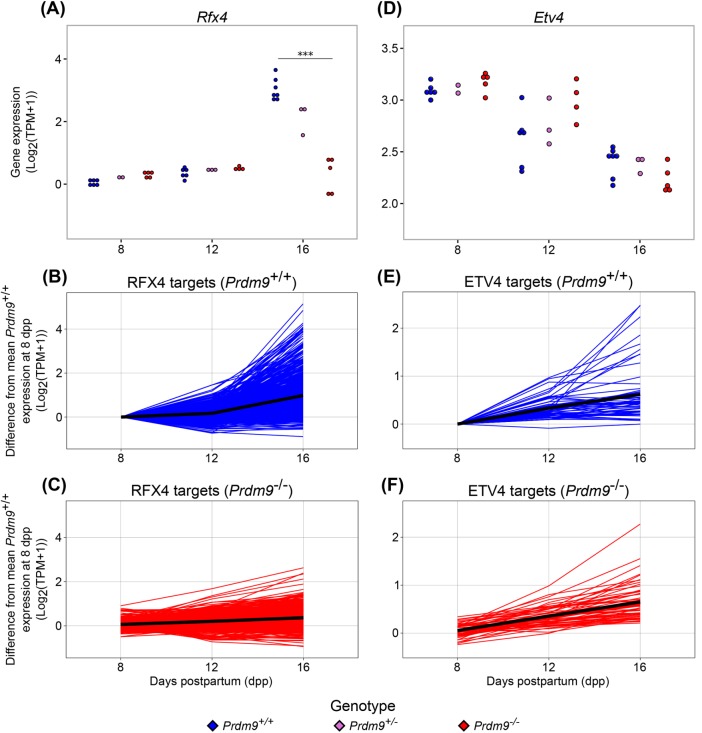 FIGURE 6: