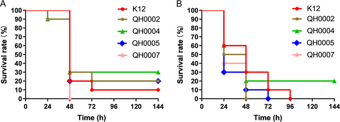 FIG 6