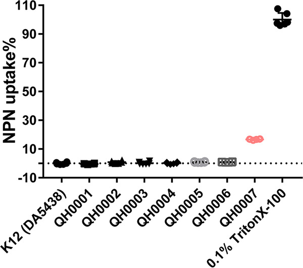 FIG 5