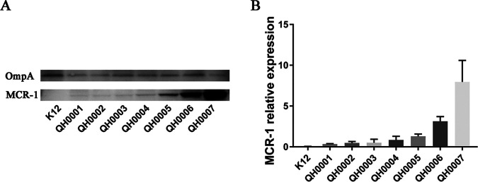 FIG 1