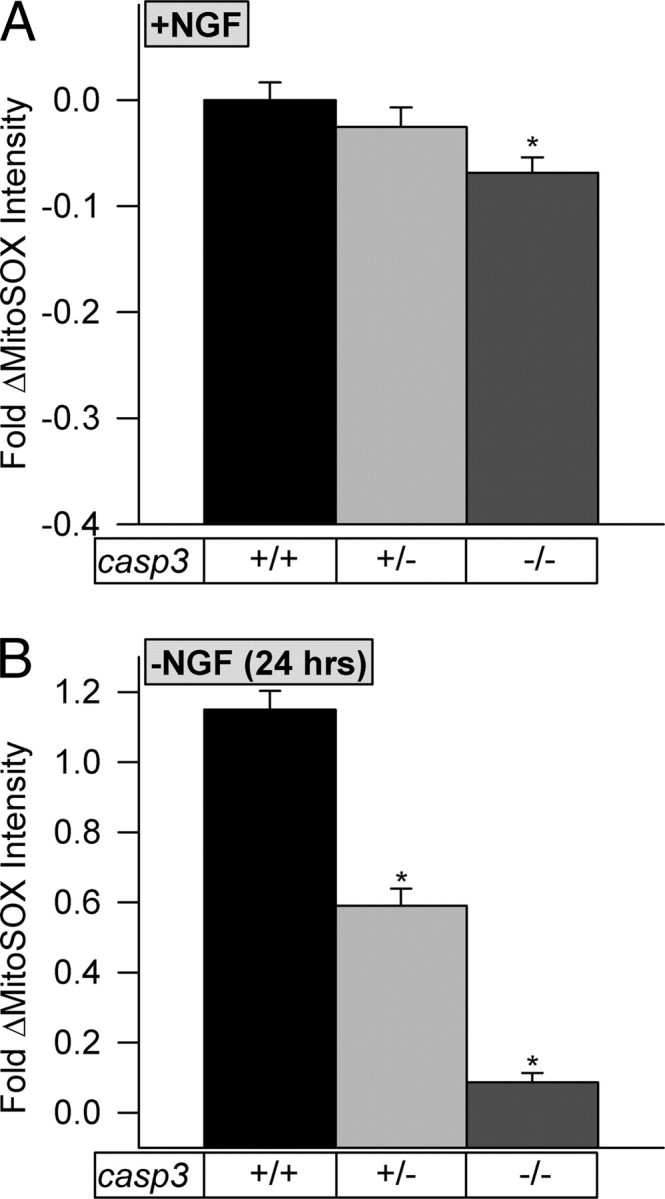 Figure 10.