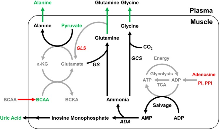 Fig. 7.