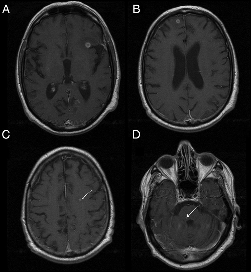 Figure 1