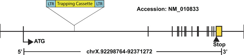 Figure S1.