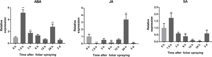 FIGURE 1