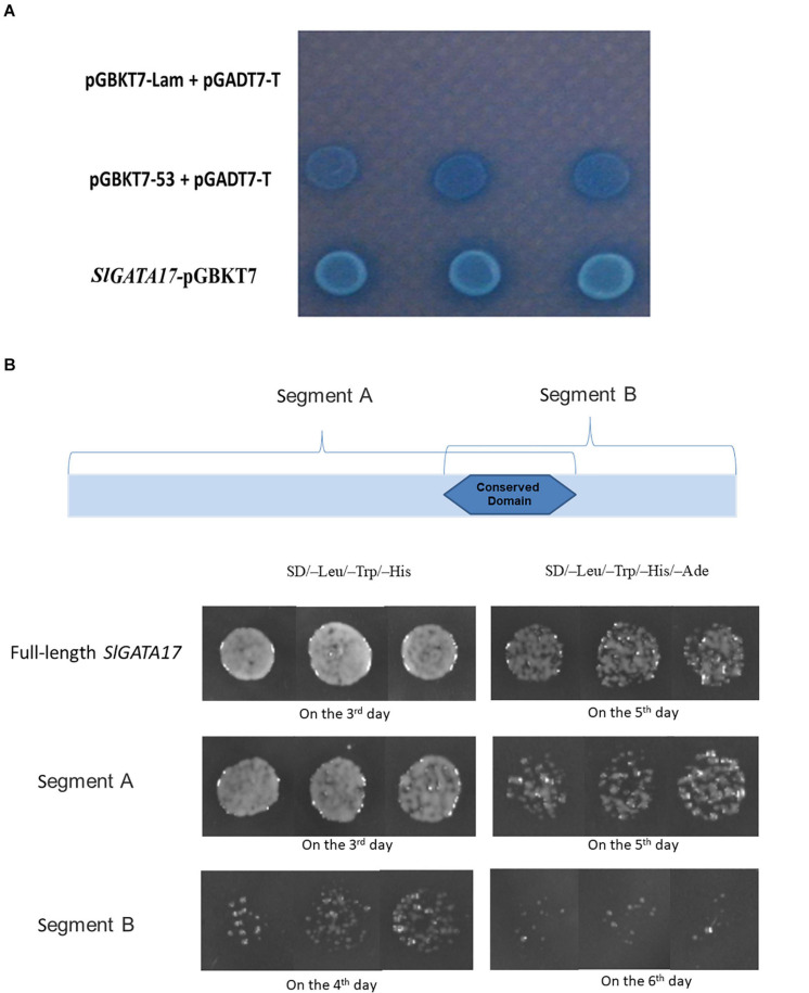 FIGURE 3