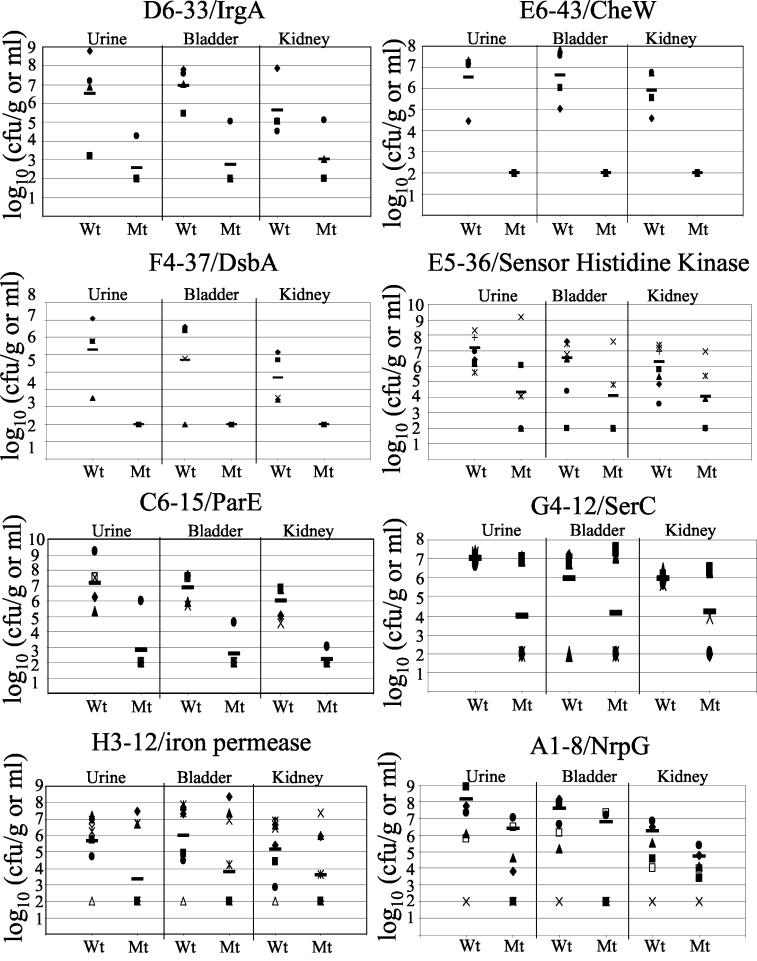 FIG. 1.