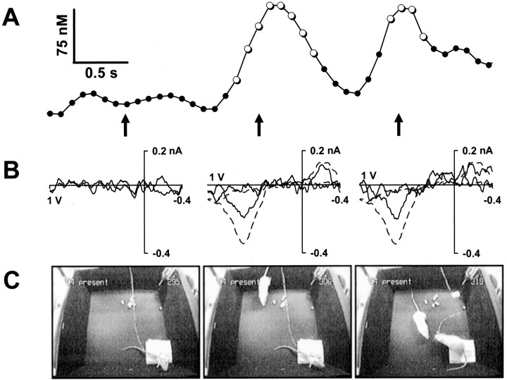 Fig. 4.