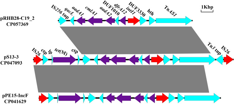 FIGURE 2