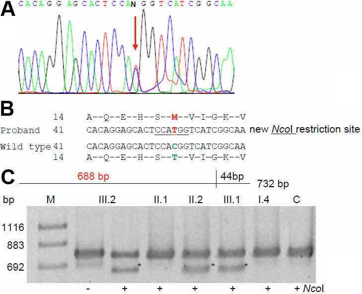 Figure 9