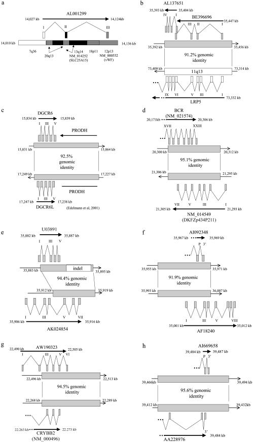 Figure  7