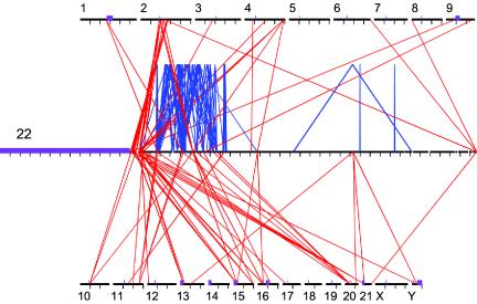 Figure  1