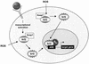 FIG. 10.