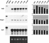 FIG. 2.