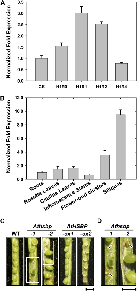 Figure 3.